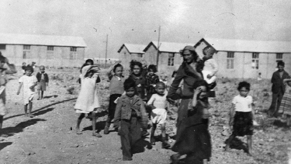 2 - Nouveau palier dans la politique de terreur 66 s7.pa2 .017 rivesaltes tziganes min MRJ MOI